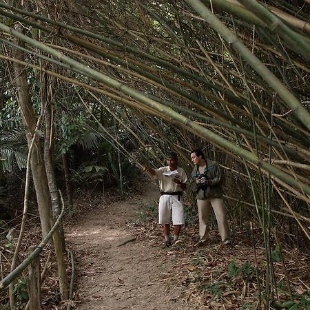 Tanjong Jara Resort, Terengganu - An Slh Hotel Dungun Exteriör bild Bamboo forest in the park